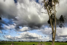 美加墨世界杯-（体育）乒乓球——混合团体世界杯：中国队夺冠