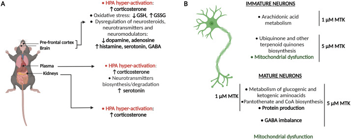 孟鲁司特或致抑郁，儿童用药安全如何保障？